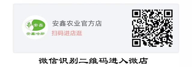 微店.jpg