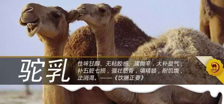 微信圖片_20180830210029.jpg
